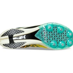 Saucony Endorphin Cheetah Cheap